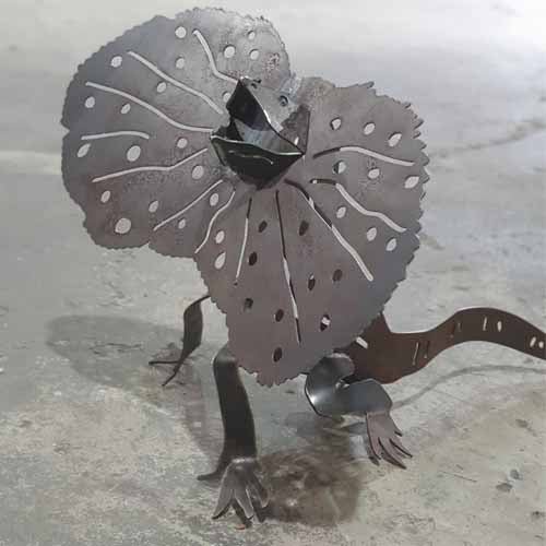 Frilled Neck Lizard Medium