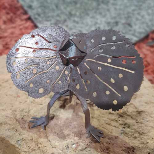 Frilled Neck Lizard Small