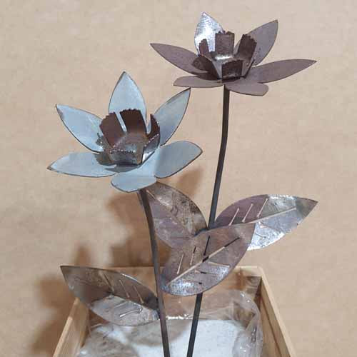 Flower - Daffodil with Leaves on Stake