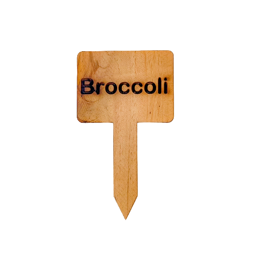 Wooden Plant Marker - Broccoli