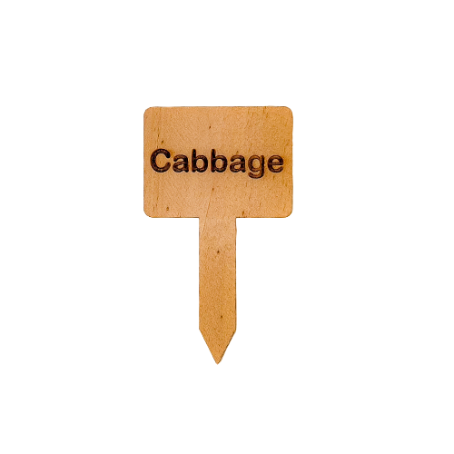 Wooden Plant Marker - Cabbage