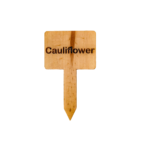 Wooden Plant Marker - Cauliflower