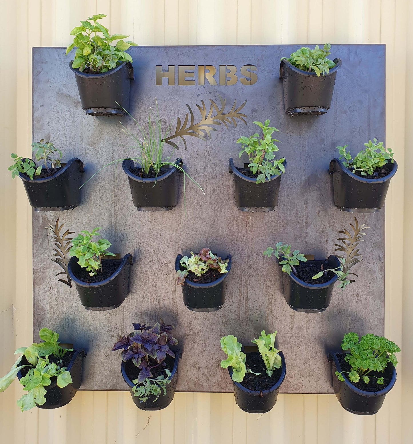 Living Wall Metal Art - Herbs Design Incl Pots & Mounting Rail