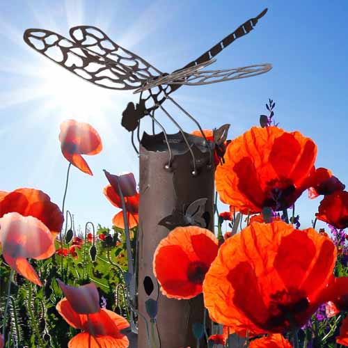 Dragonfly on Log with Base Small