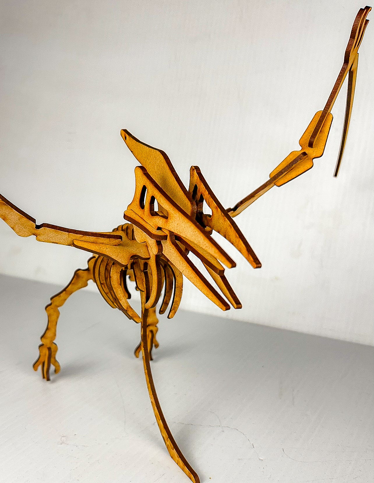 Dinosaur 3D Jigsaw Puzzle Small – Pterodactyl