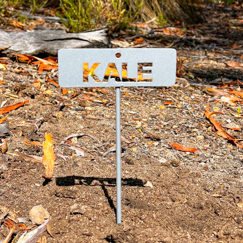 Garden Bed Sign - Kale - Metal - Powder Coat