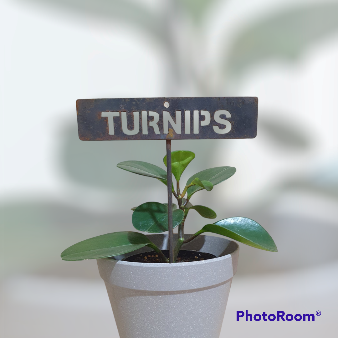 Garden Bed Sign - Rusty - Turnips