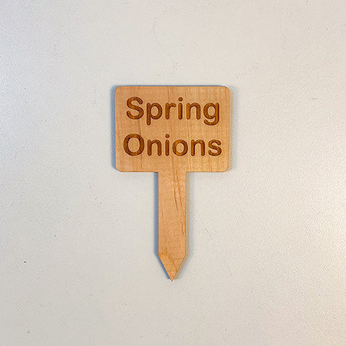 Wooden Plant Marker - Spring Onions