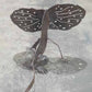 Frilled Neck Lizard Medium