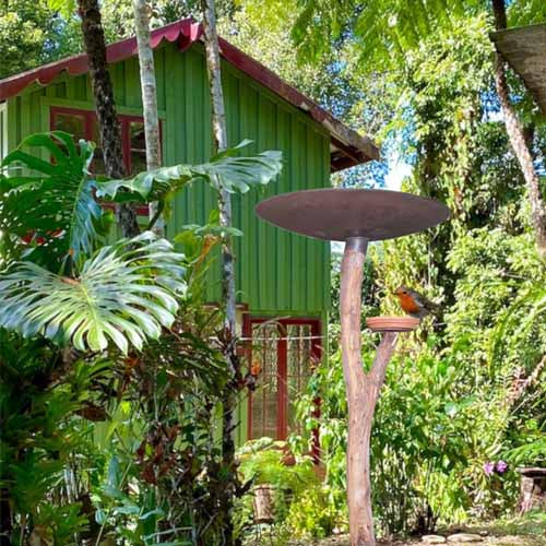 Bird Feeder on Log Stand