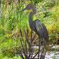 Heron and Reeds Sculpture - Metal Art - Raw Finish in Wetlands Scene