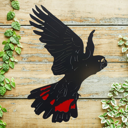 Red Tail Black Cockatoo Wall Art