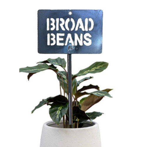 700867 - Garden Bed Sign - Rusty - Broad Beans 