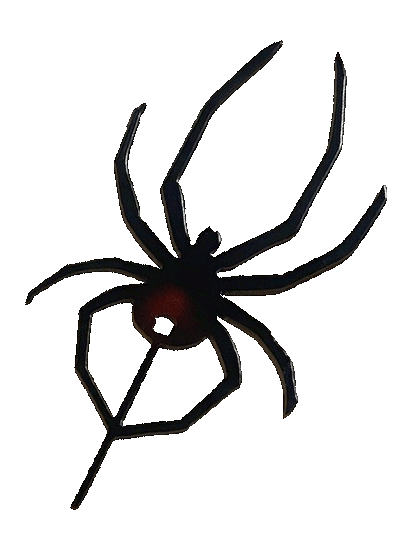 Red Back Spider Metal Wall Art - Small