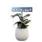 700952 - Garden Bed Sign - Rusty - Hazelnut