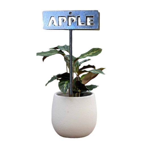 700954 - Garden Bed Sign - Rusty - Apple