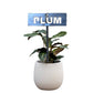 700955 - Garden Bed Sign - Rusty - Plum