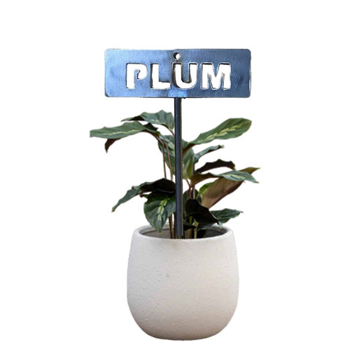 700955 - Garden Bed Sign - Rusty - Plum