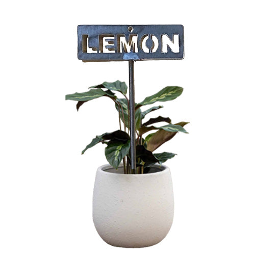 Garden Bed Sign - Rusty - Vegetable & Herb & Fruit Tree Signs - Assorted