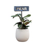 700957 - Garden Bed Sign - Rusty - Pear