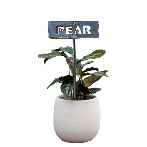 700957 - Garden Bed Sign - Rusty - Pear