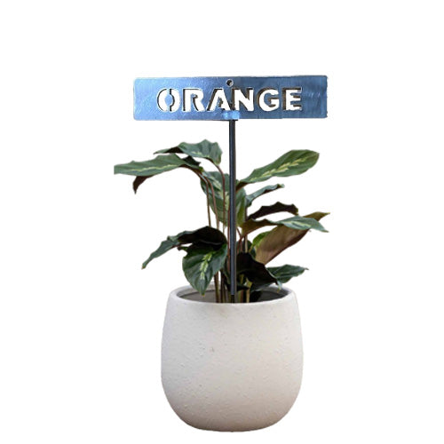 700958 - Garden Bed Sign - Rusty - Orange