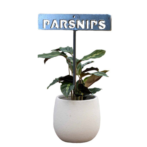 700960 - Garden Bed Sign - Rusty - Parsnip