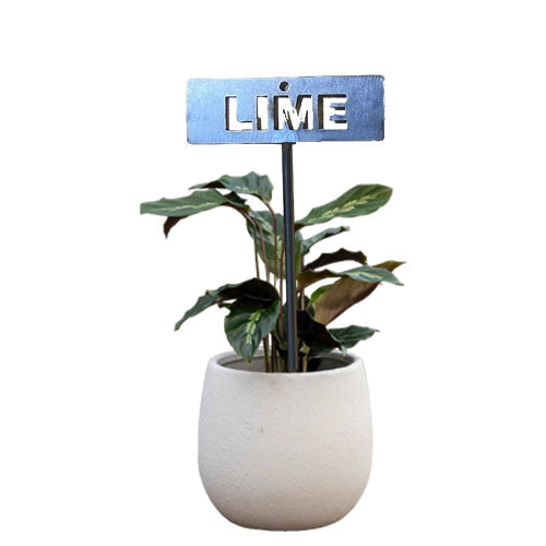 700961 - Garden Bed Sign - Rusty - Lime