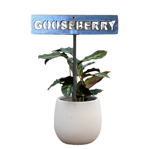 700963 - Garden Bed Sign - Rusty - Gooseberry