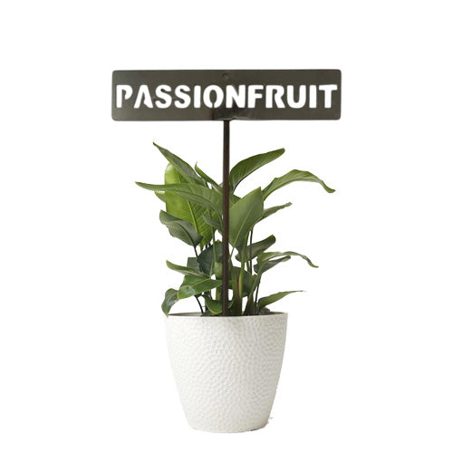 701021 - Garden Bed Sign - Rusty - Passionfruit