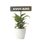 701022
 - Garden Bed Sign - Rusty - Avocado