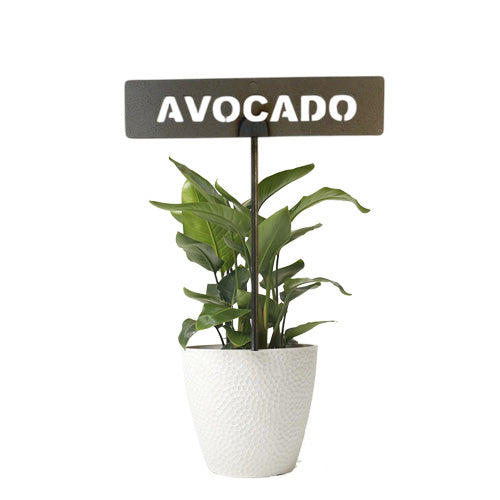 701022
 - Garden Bed Sign - Rusty - Avocado