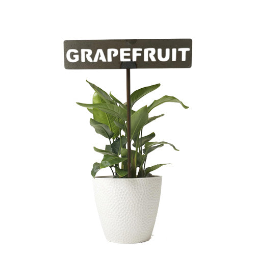 701023 - Garden Bed Sign - Rusty - Grapefruit