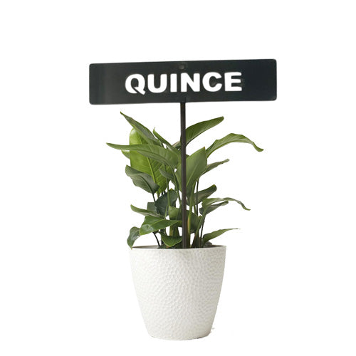701026 - Garden Bed Sign - Rusty - Quince
