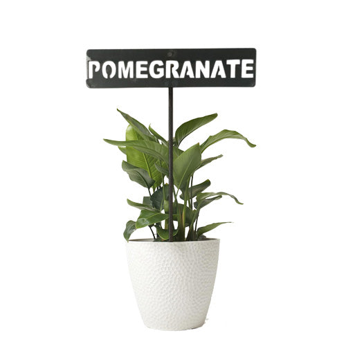 701027 
- Garden Bed Sign - Rusty - Pomegranate