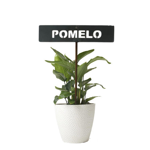 701028 - Garden Bed Sign - Rusty - Pomelo