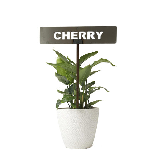 701030 - Garden Bed Sign - Rusty - Cherry
