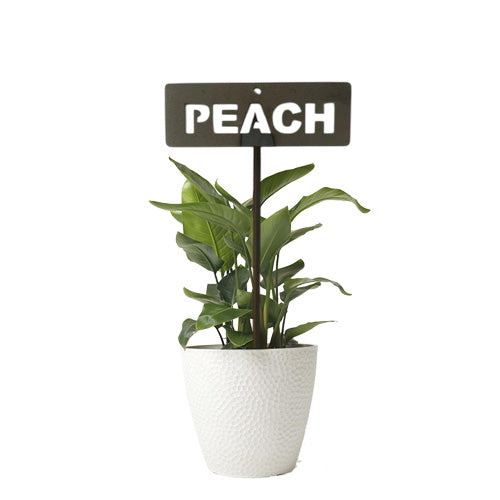 701031 - Garden Bed Sign - Rusty - Peach