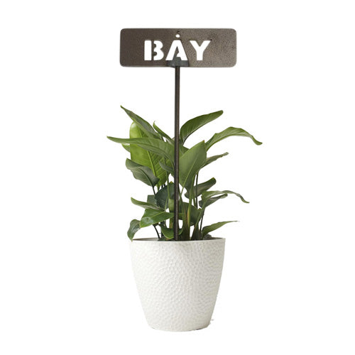 Garden Bed Sign - Rusty - Vegetable & Herb & Fruit Tree Signs - Bay