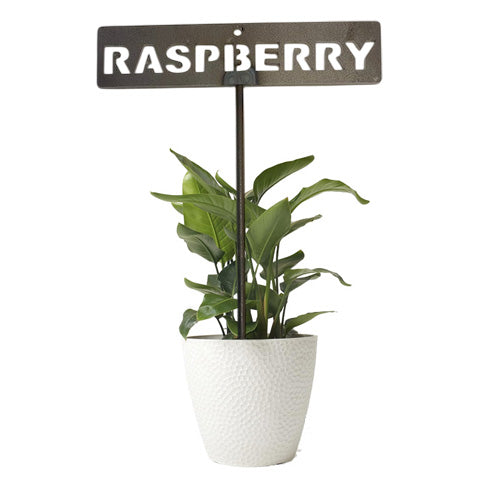 Garden Bed Sign - Rusty - Vegetable & Herb & Fruit Tree Signs - Rasbperry