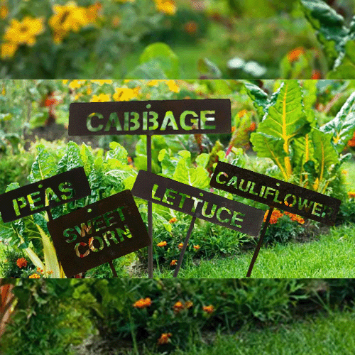 Garden Bed Signs Multiple in Garden
