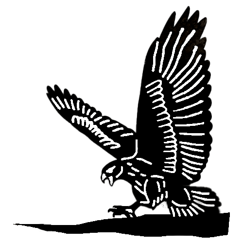Chicken Hawk on Tree Stake