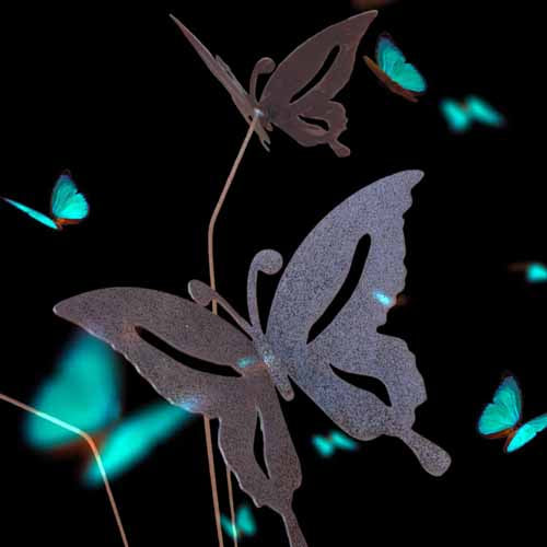 Butterfly Flutter