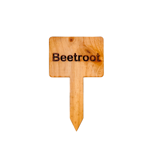 Wooden Plant Marker - Beetroot