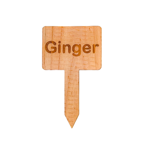 Wooden Plant Marker - Ginger