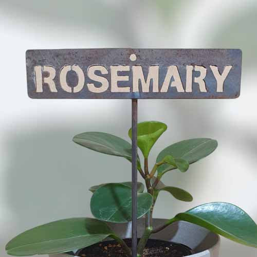 Garden Bed Sign - Rusty - Rosemary
