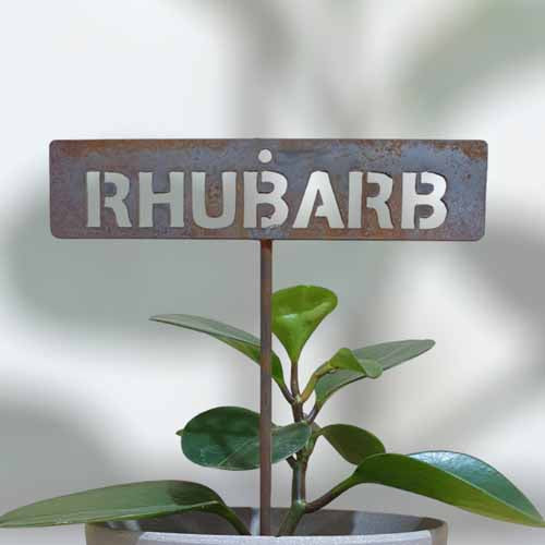 Garden Bed Sign - Rusty - Rhubarb