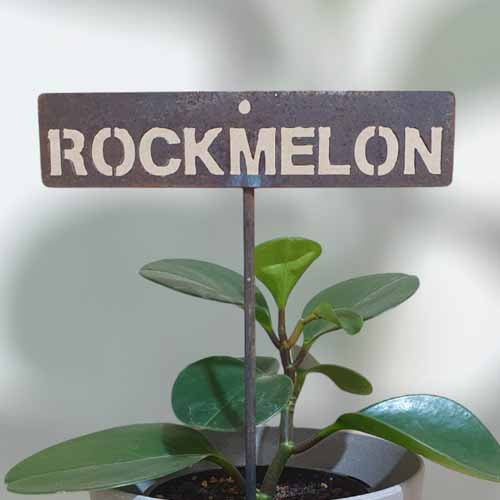 Garden Bed Sign - Rusty - Rockmelon