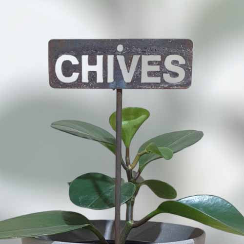 Garden Bed Sign - Rusty - Chives