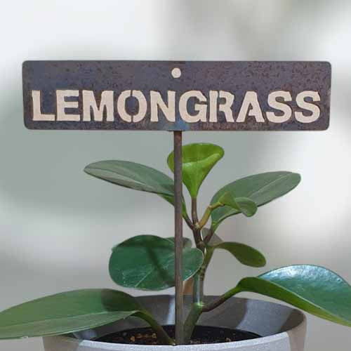 Garden Bed Sign - Rusty - Lemongrass